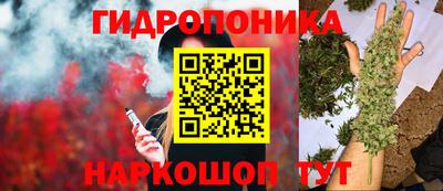 стафф Пыть-Ях