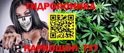 стафф Пыть-Ях
