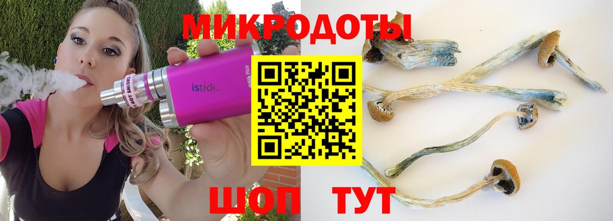 Галлюциногенные грибы ЛСД  Вход с VPN  Сегежа 