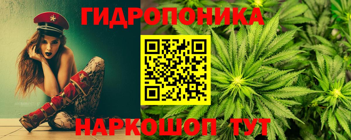 Бошки Шишки тримм  Марихуана SATIVA & INDICA  Сегежа  Вход с VPN 